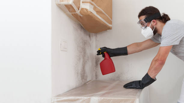 Professional Bathroom Mold Removal technician working in Westphalia, MI